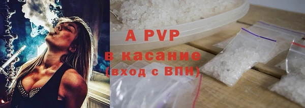 хмурый Алзамай