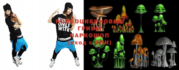 спиды Слюдянка