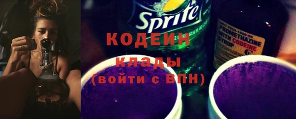 не бодяженный Снежногорск