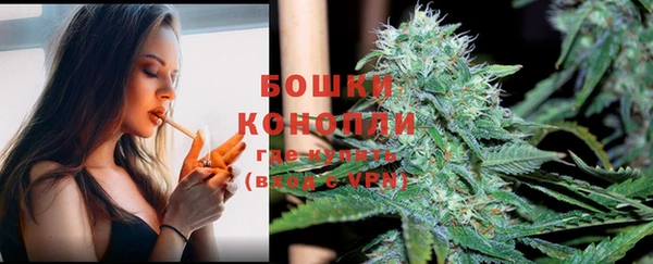 не бодяженный Снежногорск