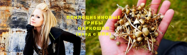 крисы Снежинск