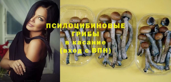 крисы Снежинск
